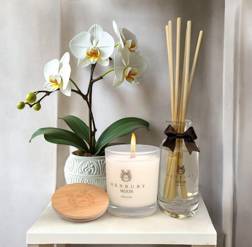 Bespoke set citrus mist - set, x