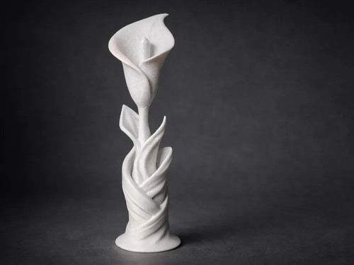 Elegant calla lily - calla, –
