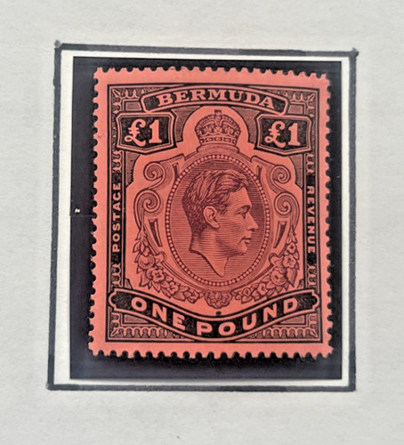 Bermuda 1938 121 - kg,