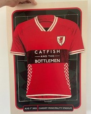 Catfish And The Bottlemen Aug