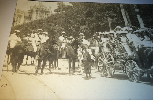 Antique floral carriage - floral,