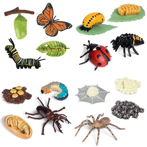 Simulation animals growth - animals,