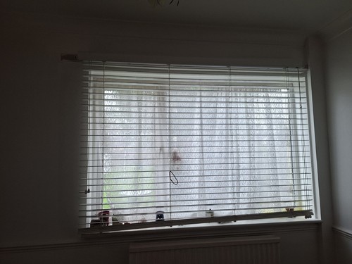 Venetian wooden blind 176 x - 176,5,