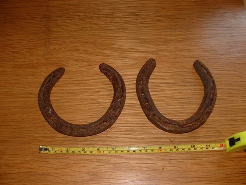 Horse shoe old rusty - horse,