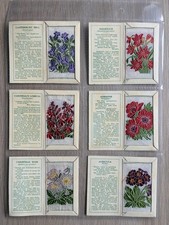 Complete set kensitas wix - complete,