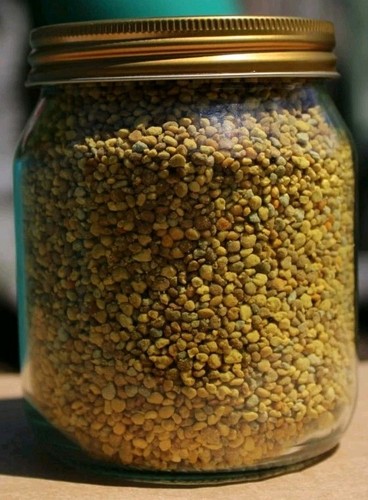 Fresh bee pollen collected - bee, may