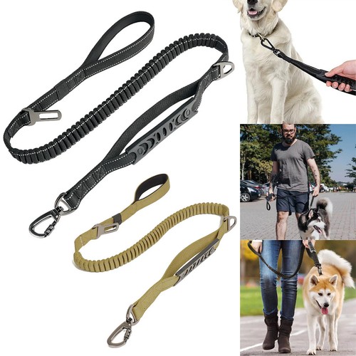 Heavy bungee jumping dog leash