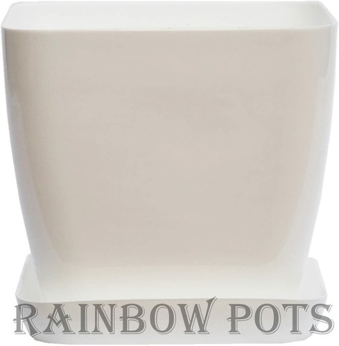 Plastic flower plant - flower,