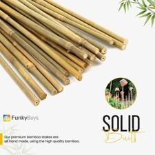 2FT 3FT 4FT 5FT 6FT Bamboo Garden Canes Strong Thick Quality Support Green canes