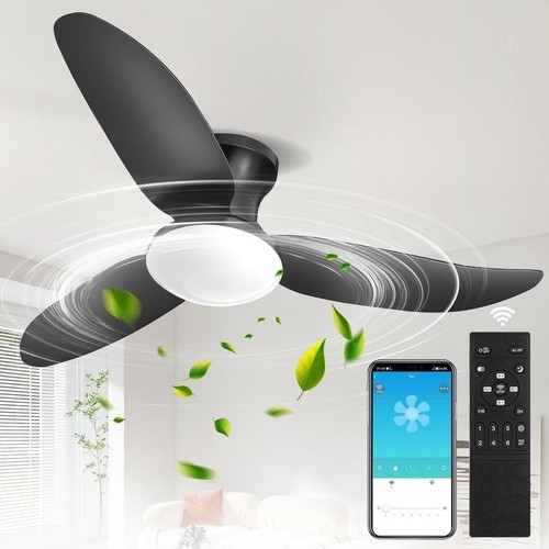 Dimmable smart ceiling - smart, fan