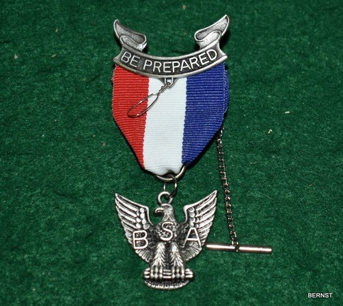 Boy scout eagle - boy,