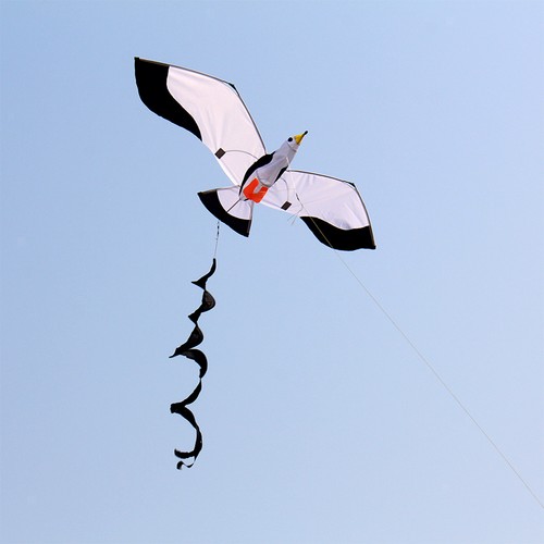 Seagull kite sea mew - seagull, for