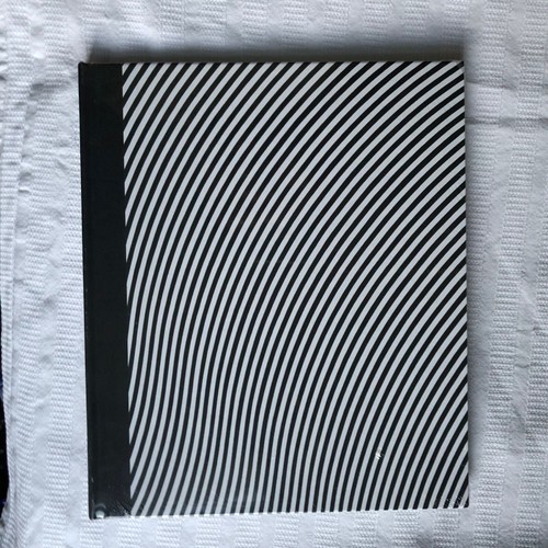 Bridget riley paintings - riley,