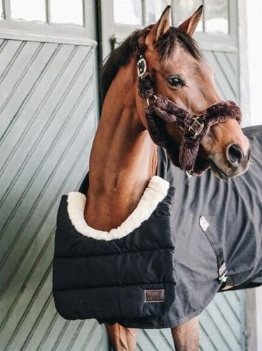 Kentucky horsewear horse - kentucky,