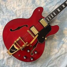 Hot Electric Guitar Semi