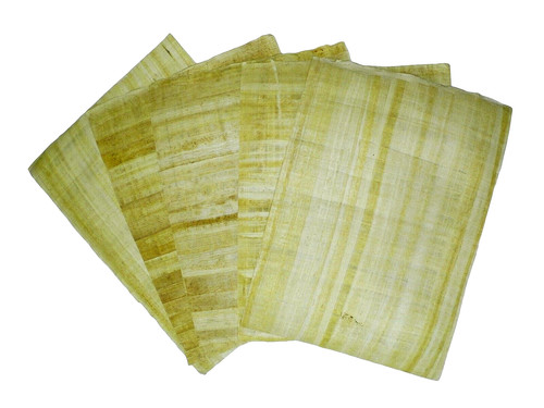 Blank egyptian papyrus - blank,