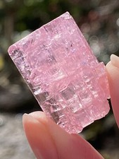 Bubblegum Pink Paprok