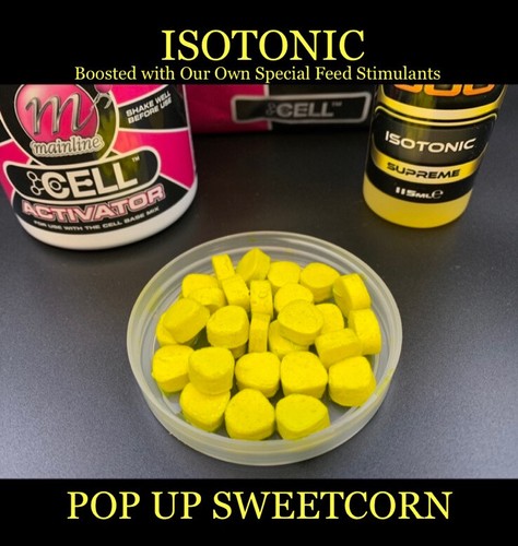 Boilies mainline cell - mainline,