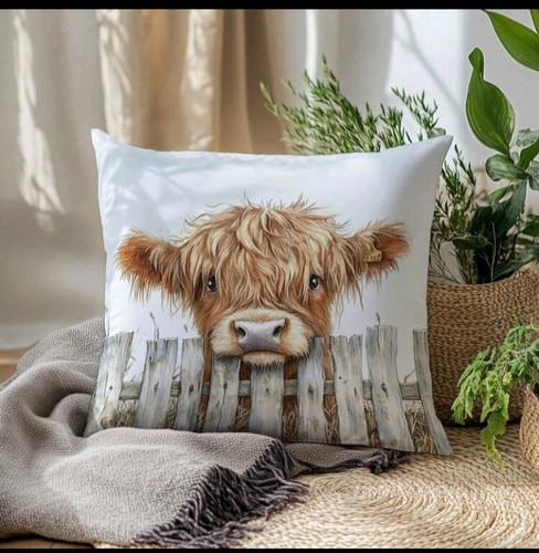 Beautiful highland cow - x,