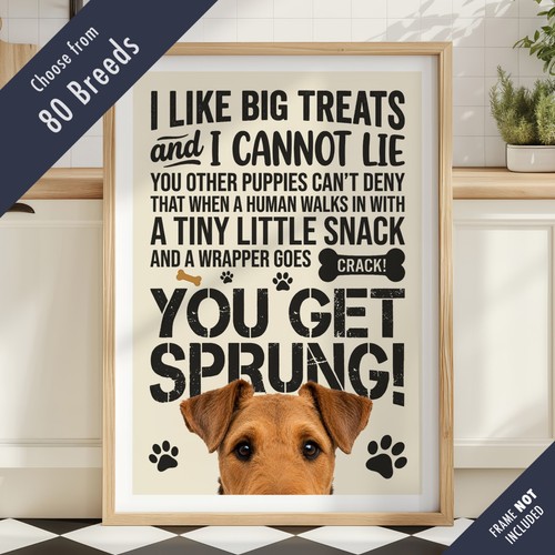 Funny dog treats lyric quote - dog,