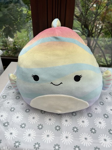 rainbow fish