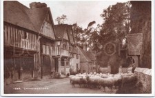 RPPC Vintage Postcard Village Scene Sheep Chiddingstone England