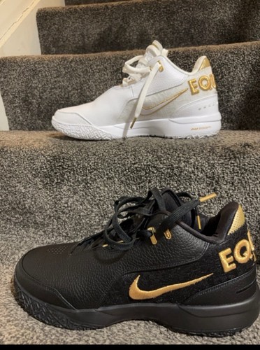 Nike zoom lebron nxxt gen - zoom, ampd