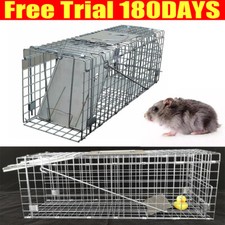 Rabbits,Squirrels,Mink,Rat,Ver