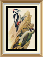 Original 70+yr Old 1947