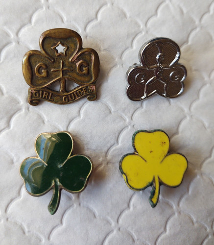 Vintage girl guide - guide, badges