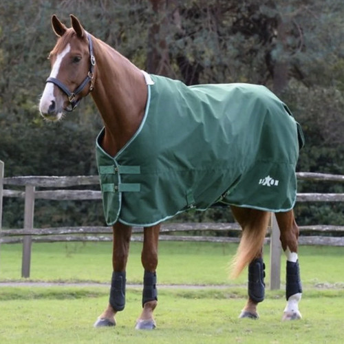 Saxon defiant green horse - saxon,