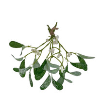 Hanging glitter artificial - glitter,