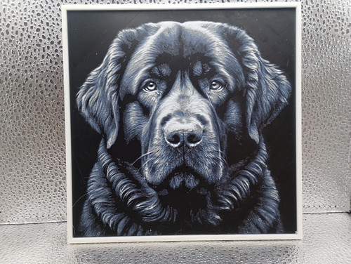 Tibetan mastiff hueforge - tibetan,