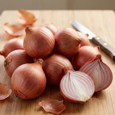 French Shallot Mikor 10 Sets