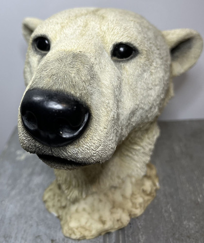 Polar bear bust sherratt - bear,