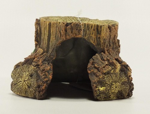 Trunk stump small - small, detailed