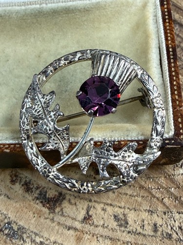 Vintage scottish thistle - vintage,
