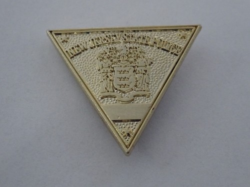 Pin badge crest state - pin,