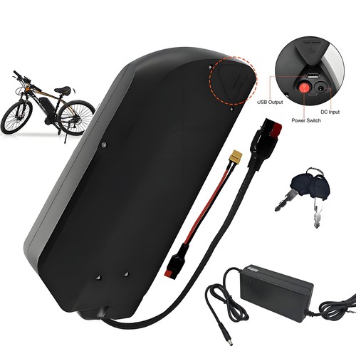 ebike 1000w