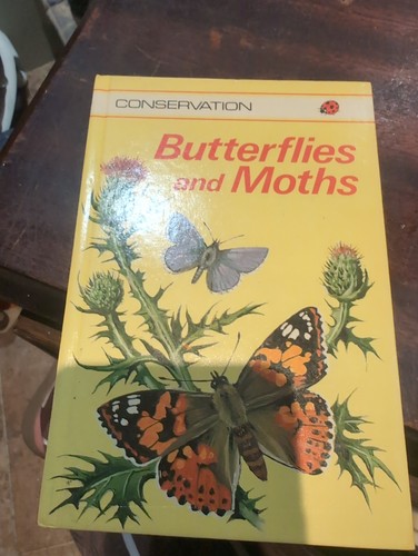 Butterflies and moths - and, ladybird