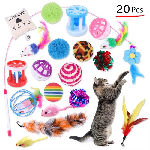Cat toy pet - pet,