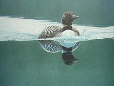 Keith Brockie Breaking the