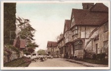 Vintage Chiddingstone Postcard