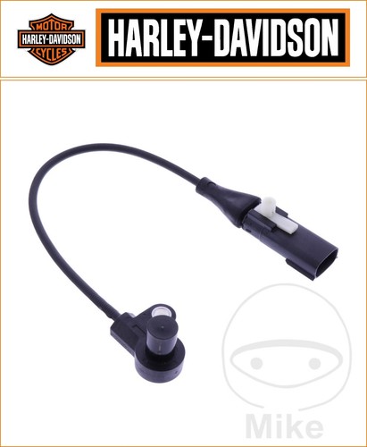 Harley davidson sportster 883 - harley-davidson,