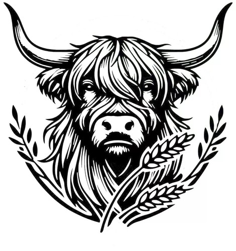 Highland cow head - highland,