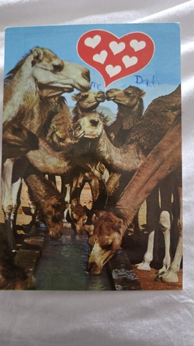 Postcard reg kray - postcard, from