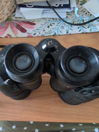 Prinz vintage binoculars 10x50 - prinz,