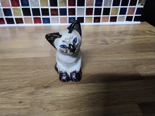 Seneshall cat small size 5 - seneshall,