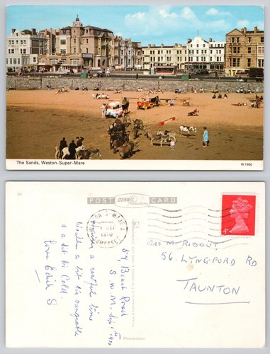 S21744 the sands donkeys - the,