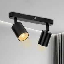 2 Way Ceiling Spotlight